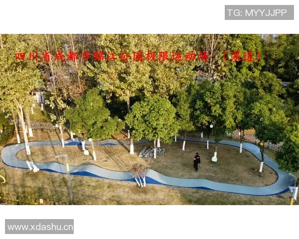 以r体育场地为核心打造多功能综合运动空间提升城市体育设施水平